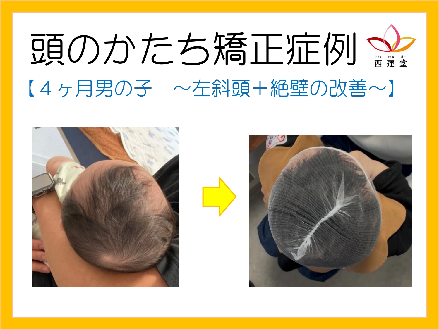 ブログ｜額田郡幸田町の西蓮堂（せいれんどう）